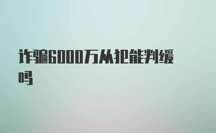 诈骗6000万从犯能判缓吗