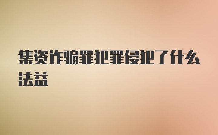 集资诈骗罪犯罪侵犯了什么法益