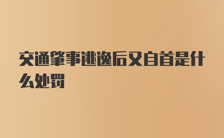 交通肇事逃逸后又自首是什么处罚