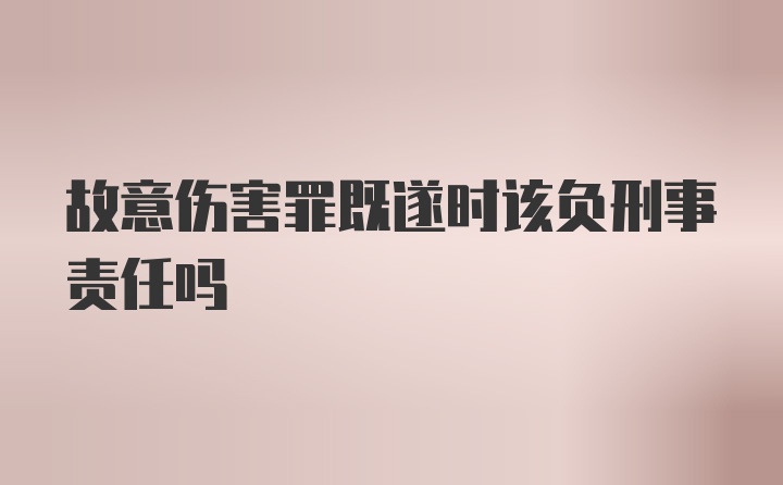 故意伤害罪既遂时该负刑事责任吗