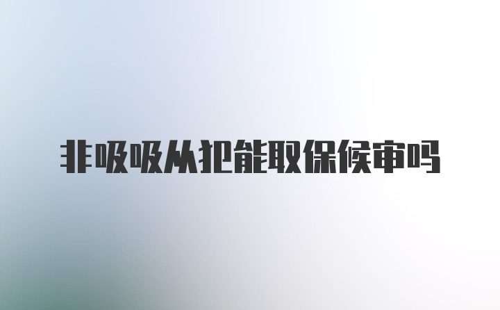 非吸吸从犯能取保候审吗