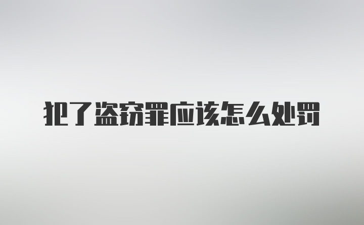 犯了盗窃罪应该怎么处罚