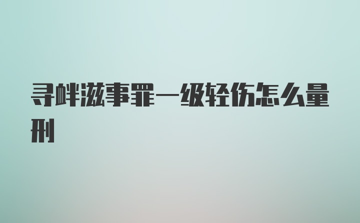 寻衅滋事罪一级轻伤怎么量刑