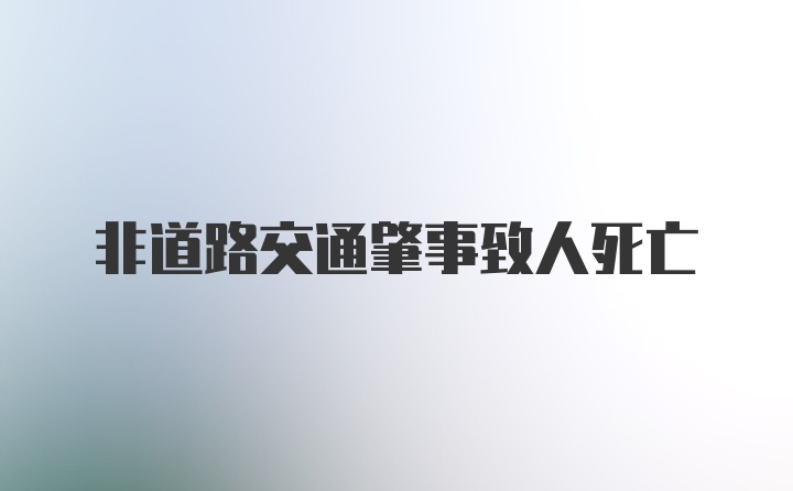 非道路交通肇事致人死亡