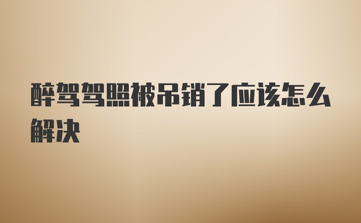 醉驾驾照被吊销了应该怎么解决