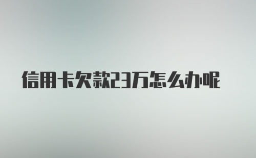 信用卡欠款23万怎么办呢