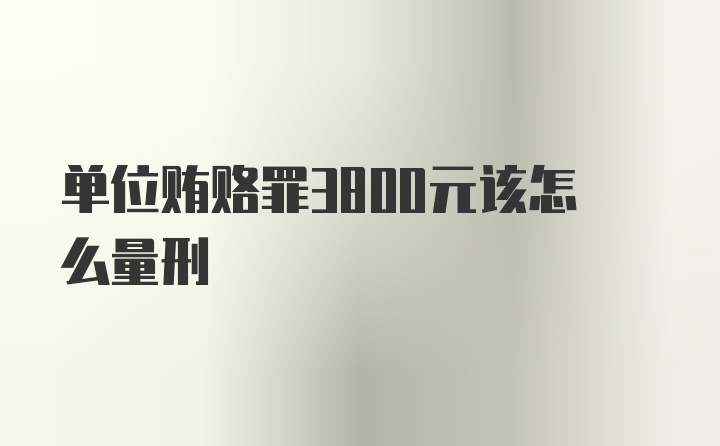 单位贿赂罪3800元该怎么量刑