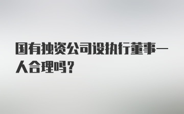 国有独资公司设执行董事一人合理吗？