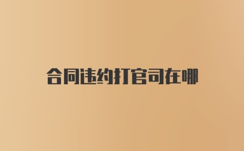 合同违约打官司在哪