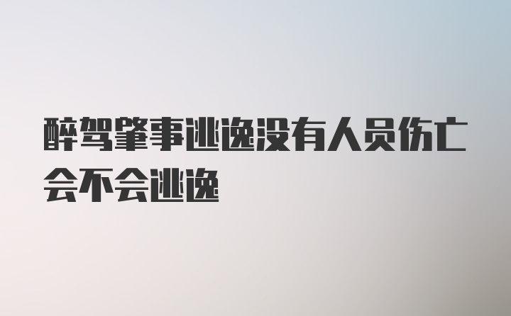 醉驾肇事逃逸没有人员伤亡会不会逃逸