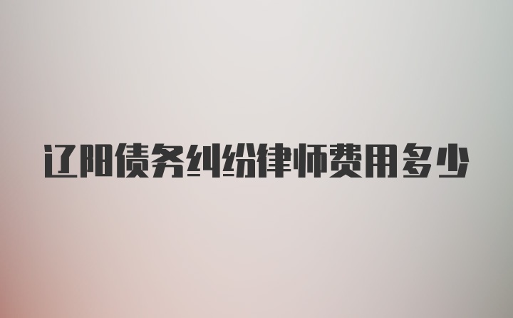 辽阳债务纠纷律师费用多少