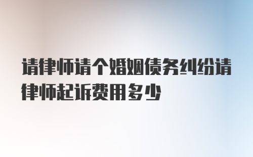 请律师请个婚姻债务纠纷请律师起诉费用多少