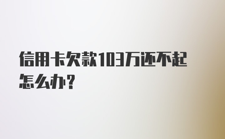 信用卡欠款103万还不起怎么办？