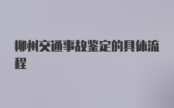 柳州交通事故鉴定的具体流程