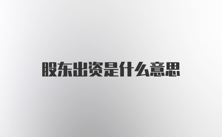 股东出资是什么意思