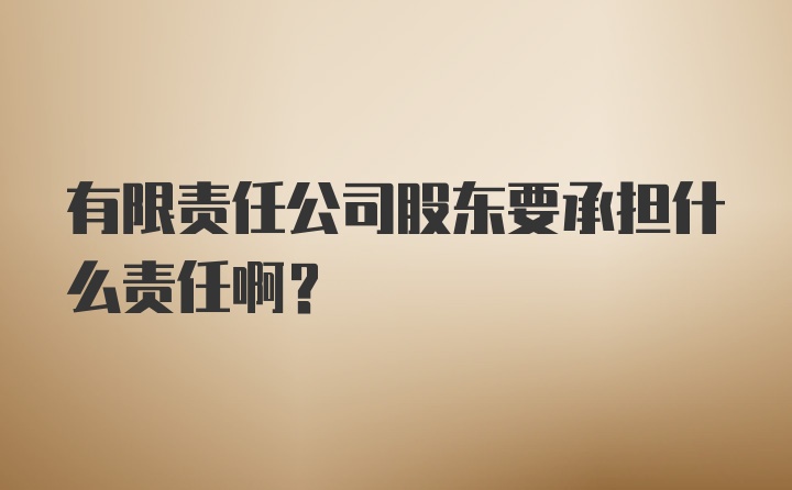 有限责任公司股东要承担什么责任啊？