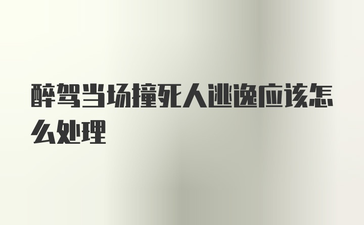 醉驾当场撞死人逃逸应该怎么处理