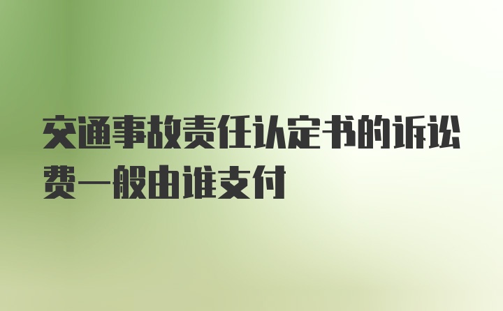 交通事故责任认定书的诉讼费一般由谁支付