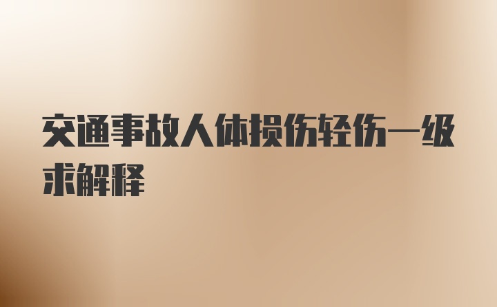 交通事故人体损伤轻伤一级求解释