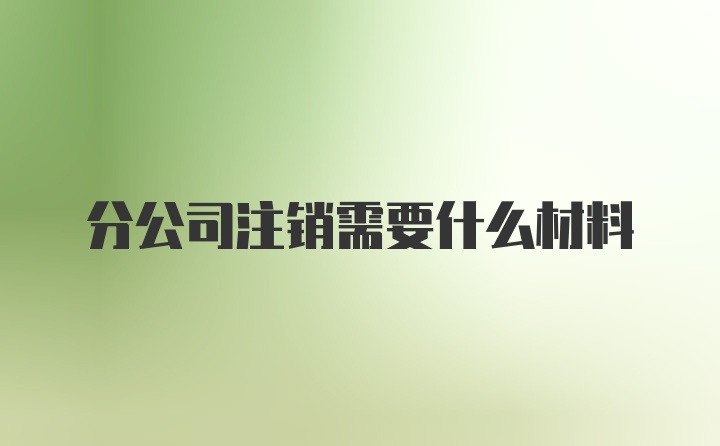 分公司注销需要什么材料