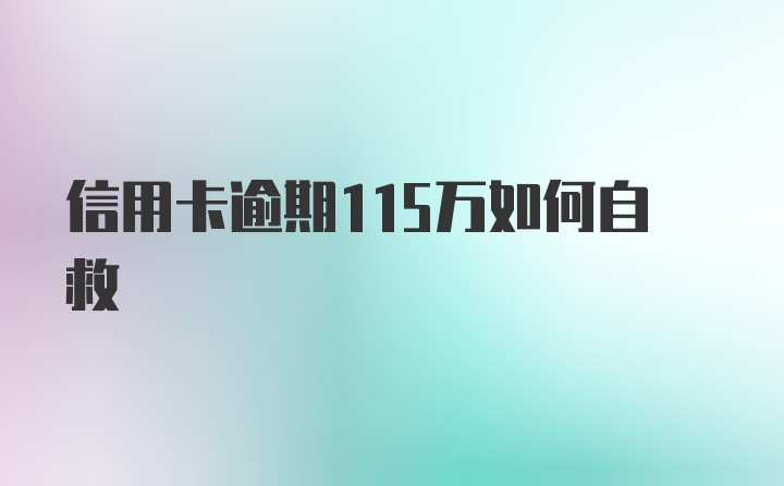 信用卡逾期115万如何自救