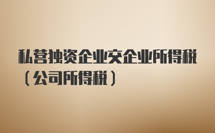 私营独资企业交企业所得税（公司所得税）