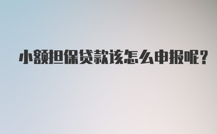 小额担保贷款该怎么申报呢？