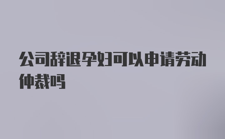 公司辞退孕妇可以申请劳动仲裁吗