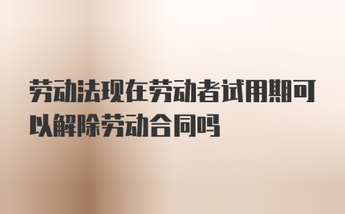 劳动法现在劳动者试用期可以解除劳动合同吗