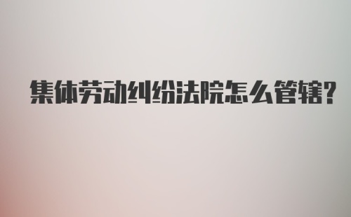 集体劳动纠纷法院怎么管辖？