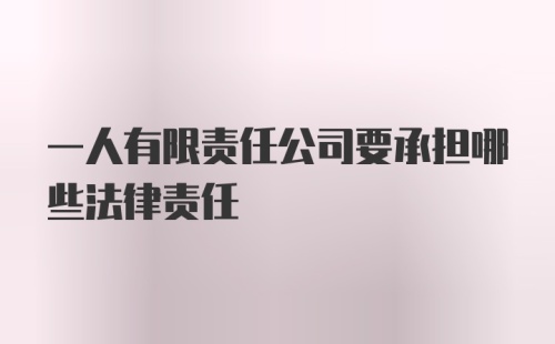 一人有限责任公司要承担哪些法律责任