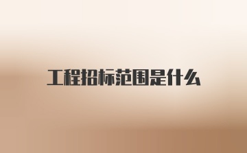 工程招标范围是什么