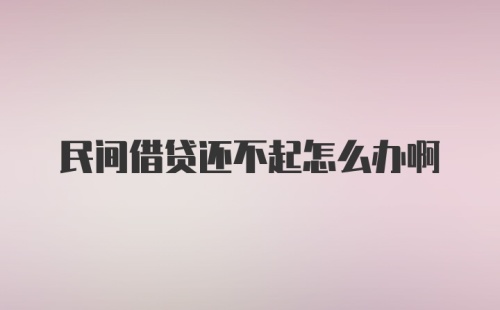 民间借贷还不起怎么办啊