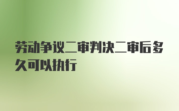 劳动争议二审判决二审后多久可以执行