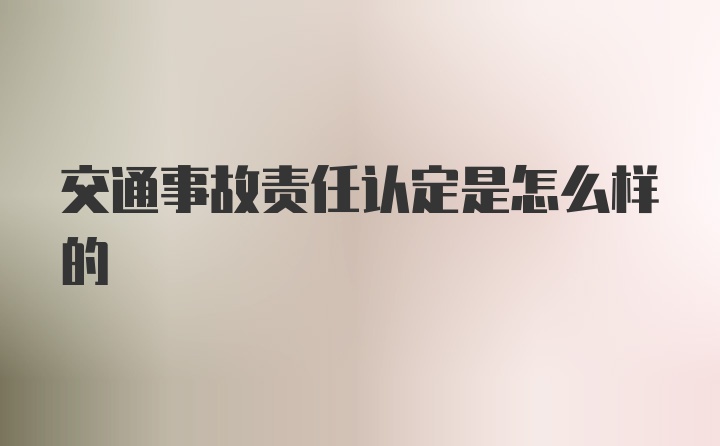 交通事故责任认定是怎么样的