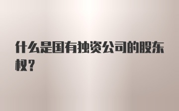 什么是国有独资公司的股东权？