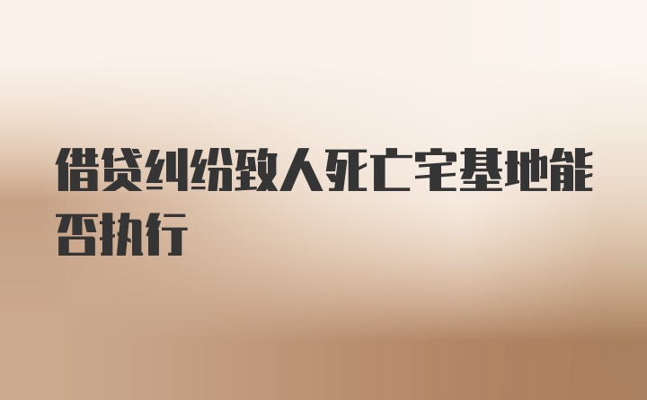 借贷纠纷致人死亡宅基地能否执行