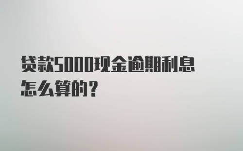 贷款5000现金逾期利息怎么算的？