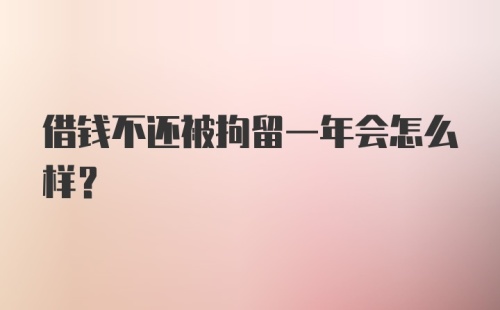 借钱不还被拘留一年会怎么样?