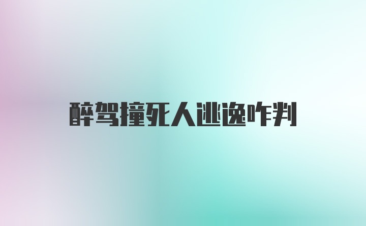 醉驾撞死人逃逸咋判