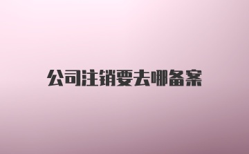 公司注销要去哪备案