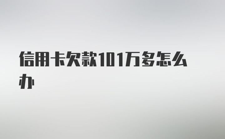 信用卡欠款101万多怎么办