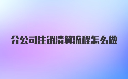 分公司注销清算流程怎么做