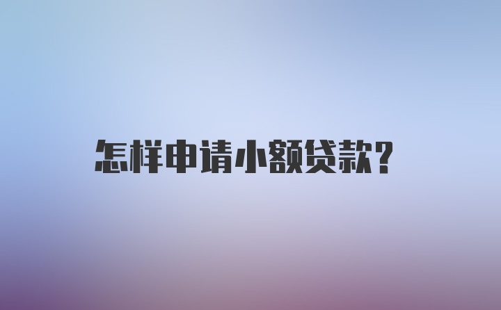 怎样申请小额贷款？