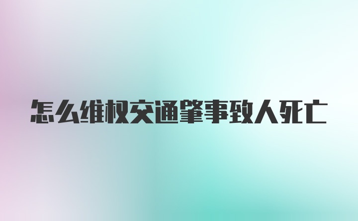 怎么维权交通肇事致人死亡