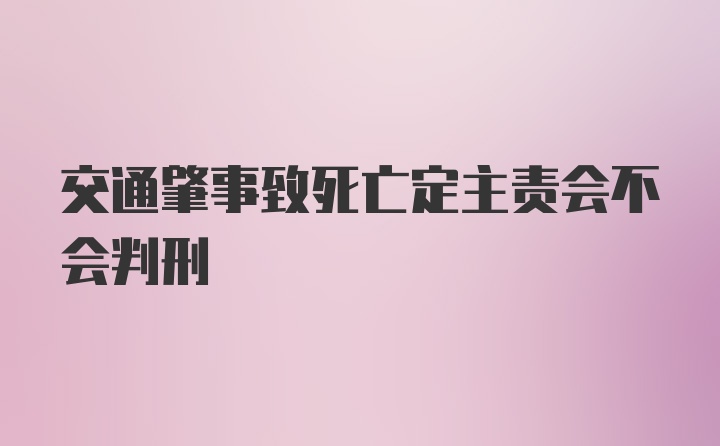 交通肇事致死亡定主责会不会判刑