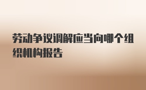 劳动争议调解应当向哪个组织机构报告