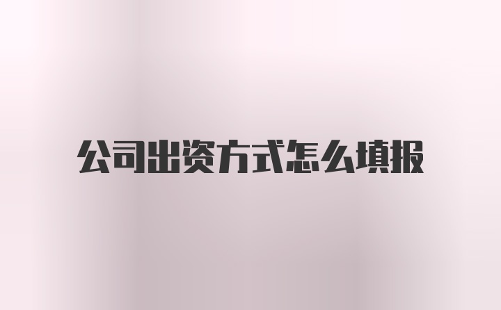 公司出资方式怎么填报