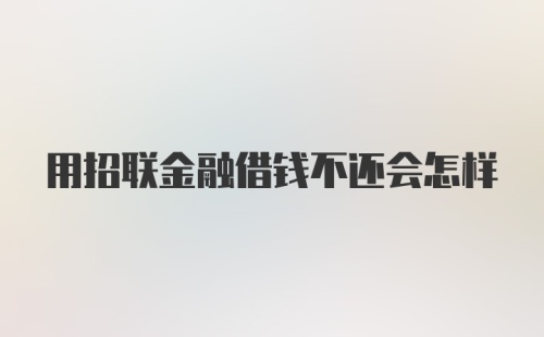 用招联金融借钱不还会怎样