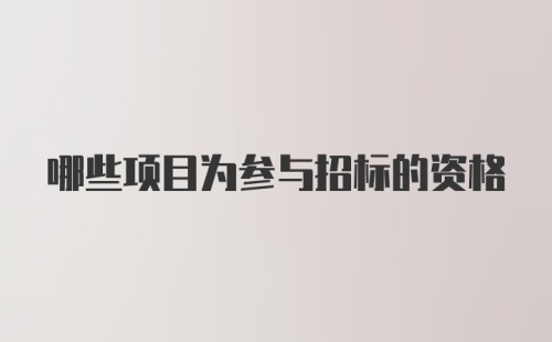 哪些项目为参与招标的资格